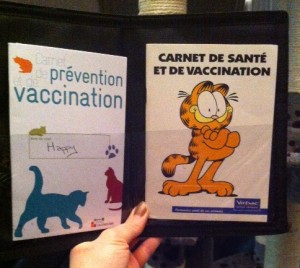 Carnet de santé félin