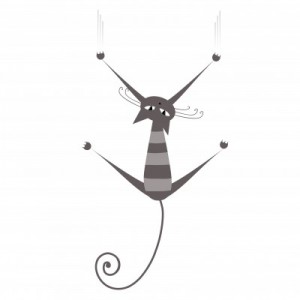 Vision du chat