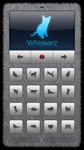 Application mobile traducteur de chat
