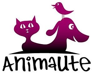 animaute