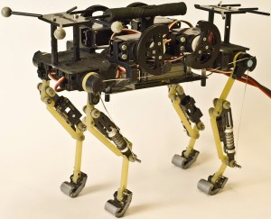Cheetah cub chat robot