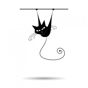 chat perlipopette