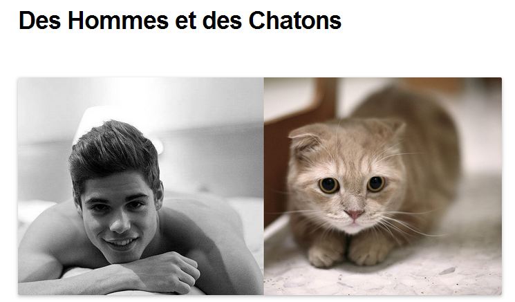 Tumblr des hommes et des chatons