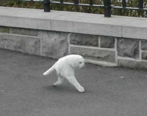 Google Street View Chat