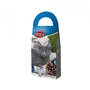 Boite surprise Noël pour chat