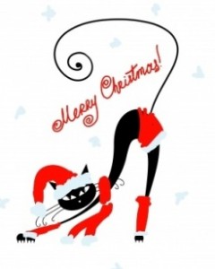 noel pour chat
