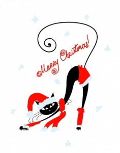 noel pour chat