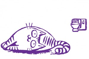 chat Feliway