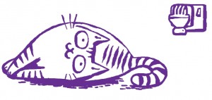 chat Feliway