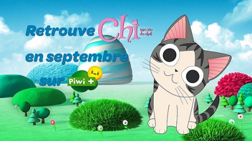 Chi une vie de chat