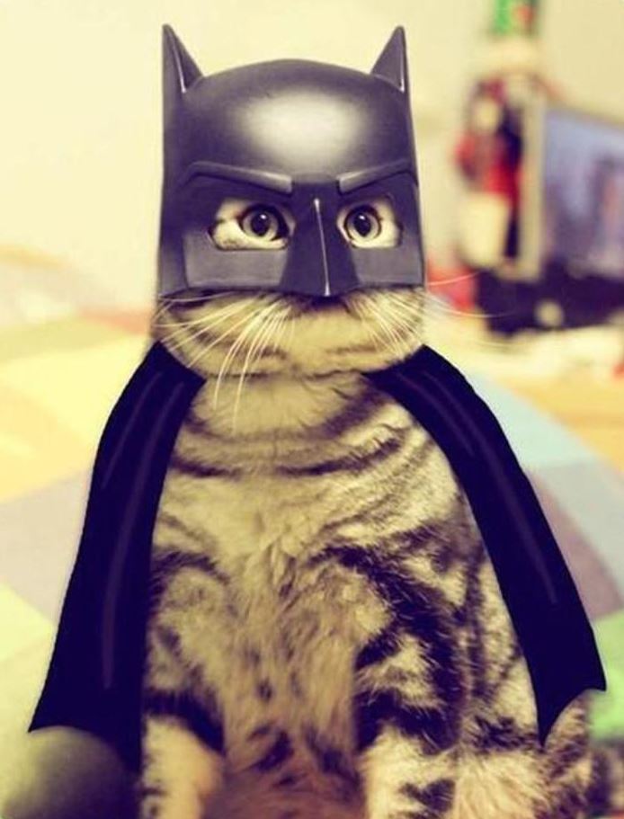 Chat batman