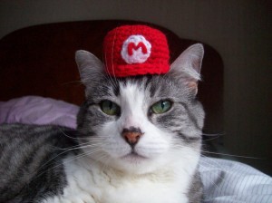 Déguisement Mario pour chat