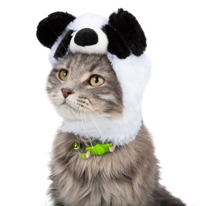 Déguisement panda pour chat
