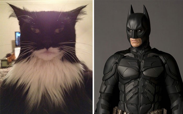 chat batman