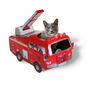 chat pompier