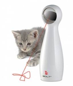 laser pour chat