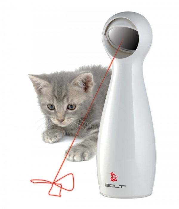 laser pour chat