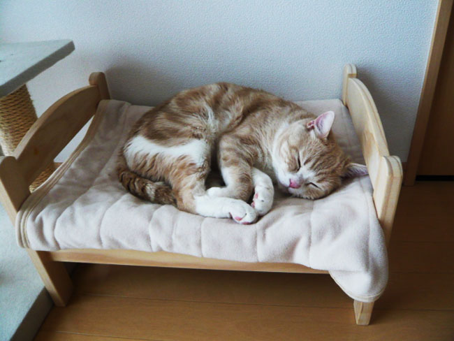lit poupée chat Ikea