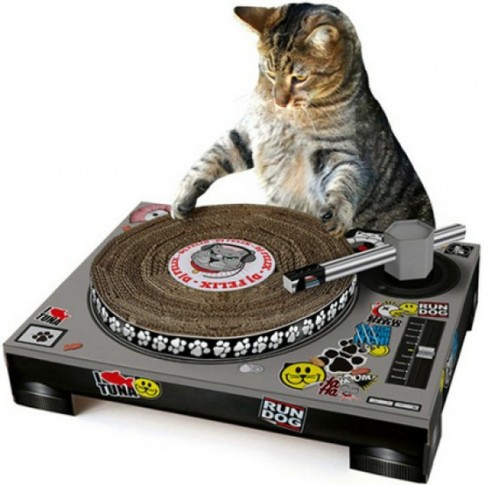 griffoir platine dj chat