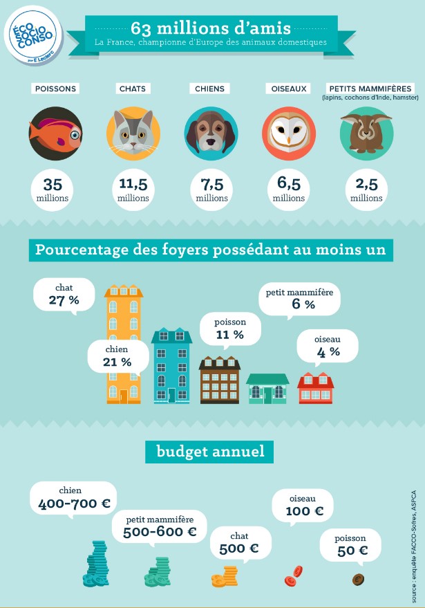 infographie 63 millions amis