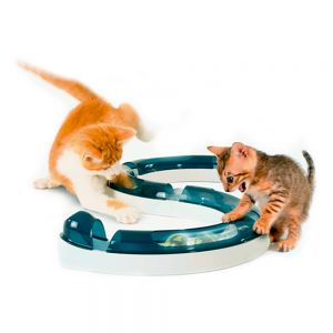 Circuit de jeu pour chat