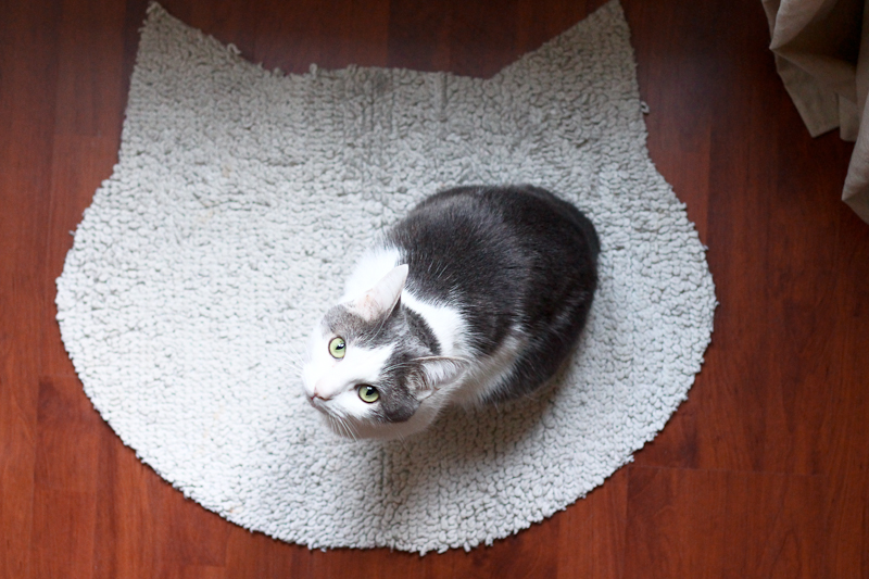 diy-tapis-pour-chat