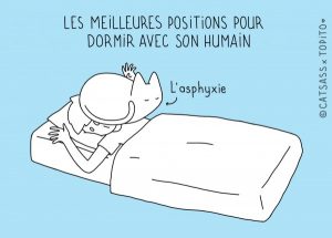 dormir avec son chat