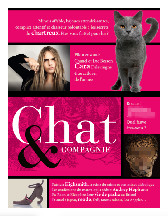 chat & compagnie