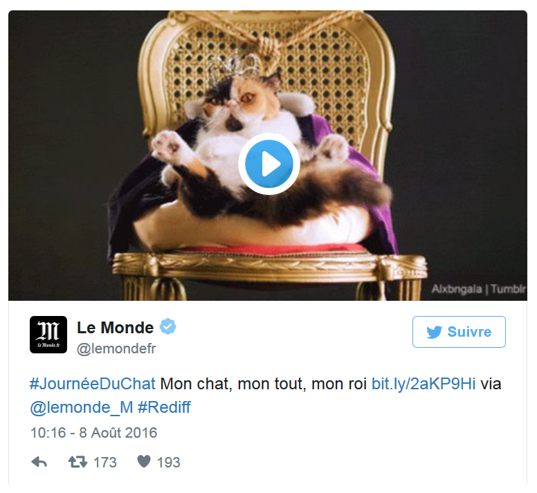 chat Le Monde