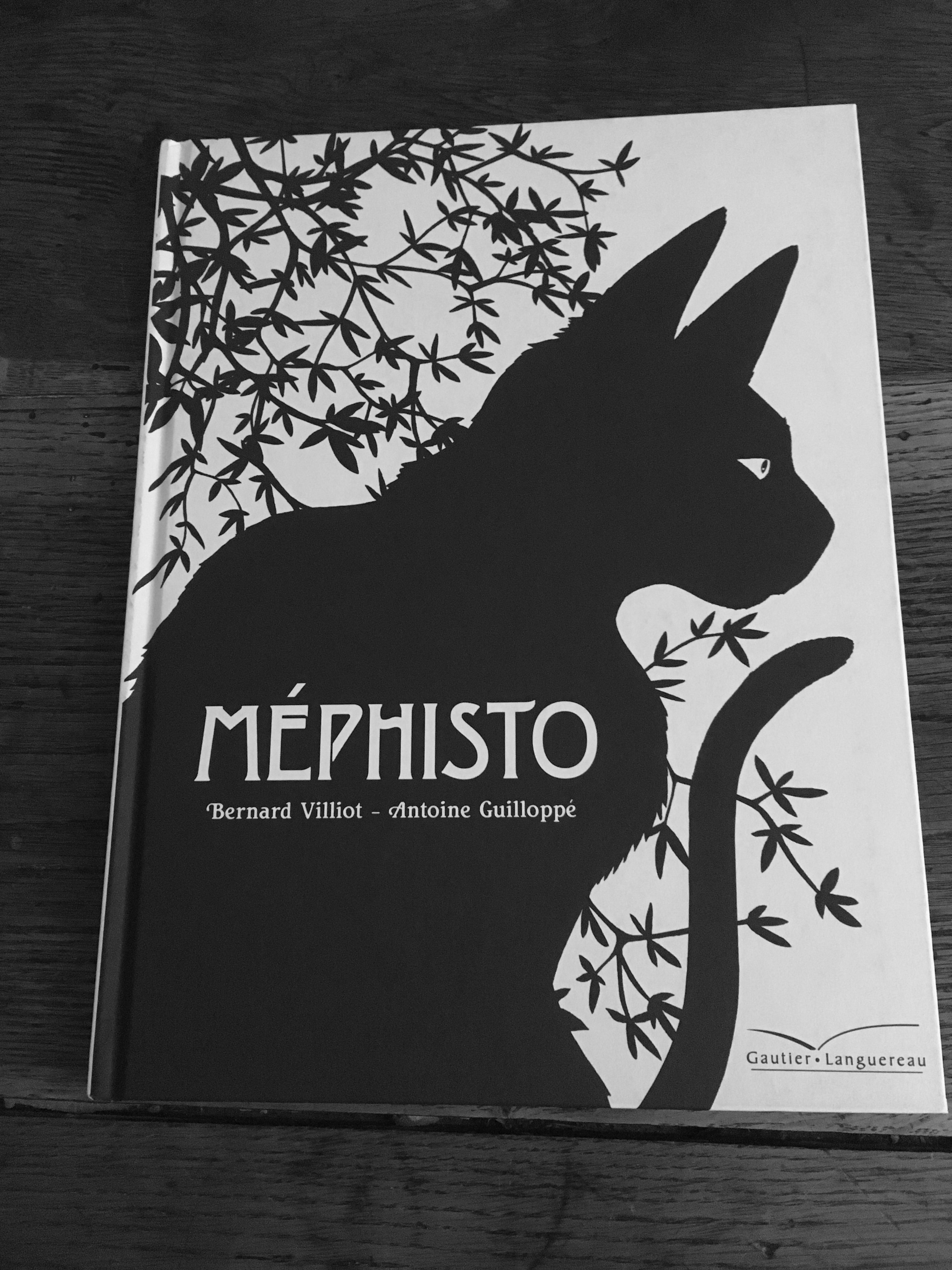 Méphisto chat